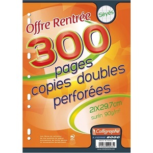 Copies Doubles 21x29.7 S?y?s 90g    300p