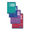 CAHIER 21X29,7 PIQURE 70G  SÉYÈS 192P
