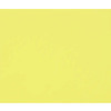 1F PAPIER DESSIN BOUTON D'OR 50X65CM 160G
