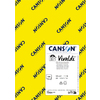 120F IRIS VIVALDI DESSIN LISSE COLORIS VIFS ASSORTIS A4 185G