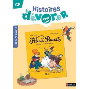 HISTOIRES A DEVORER - CE FELICIE POUCET : MYSTERE AU CHATEAU D'AMBRE - FICHIER D'EXPLOITATION