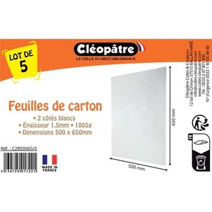 5F CARTON BLANC 50X65CM 1,5MM