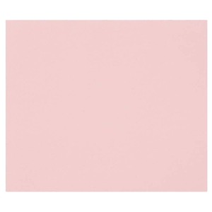 1F PAPIER DESSIN ROSE 50X65CM 160G
