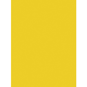 25F PAPIER AFFICHE 60X80CM JAUNE D'OR