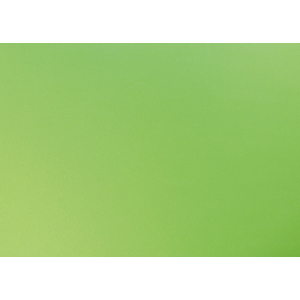 25F CARTOLINE 120G 50X65CM VERT CLAIR