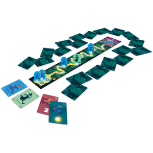 LA COLLINE AUX FEUX FOLLETS - JEUX DE CARTES