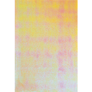 10F PAPIER IRISÉ 23X33CM ASSORTIES