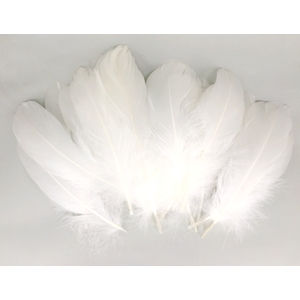 1000 PLUMES FORMES,TAILLES ET COLORIS ASSORTIS