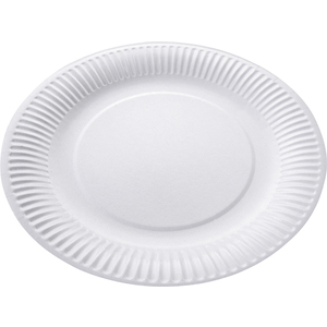 LOT 100 ASSIETTES CARTON PLASTIFIE