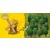 KINGDOMINO