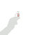 192 STICKERS COOKY ANIMAUX