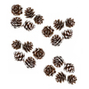 20 POMMES DE PIN
