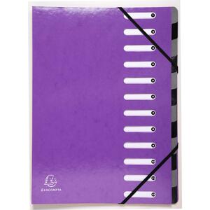 IDERAMA TRIEUR EXTENSIBLE CARTE PELICULLEE 12 POSITIONS