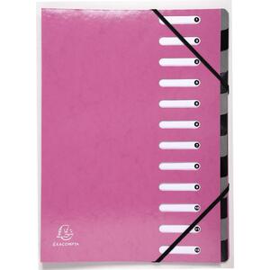 IDERAMA TRIEUR EXTENSIBLE CARTE PELICULLEE 12 POSITIONS