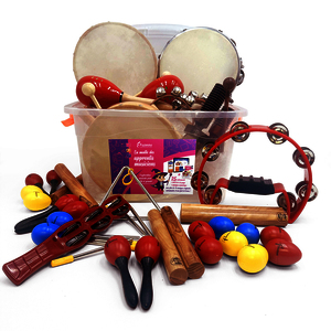 MALLE DES APPRENTIS MUSICIENS - 25 INSTRUMENTS + 1 LIVRET PEDAGOGIQUE + 1 INTERFACE NUMERIQUE
