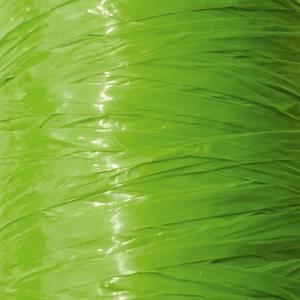 RAPHIA SYNTHETIQUE 125G VERT