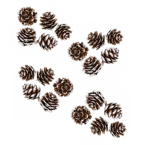 20 POMMES DE PIN